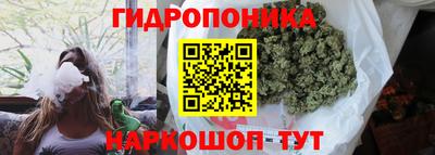 jwh Гусь-Хрустальный