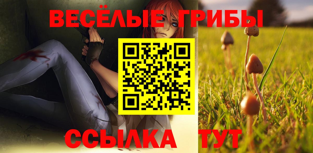 Мценск  Галлюциногенные грибы MAGIC MUSHROOMS  Галлюциногенные грибы мухоморы  Вход с VPN 